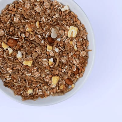 Eiwitrijke Muesli met Meelwormen 1,5kg (4L) - Kippenpakket.nl - Gezonde Kippensnack – Aanvullend Kippenvoer - Tijdens Rui, ziekte, zwakheid of na broedsheid