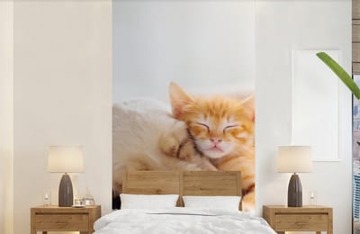 Behang - Fotobehang Dieren - Hond - Kitten - Rood - Breedte 120 cm x hoogte 240 cm