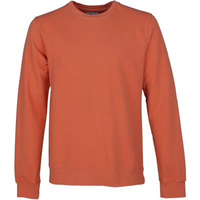 Sweatshirt ronde hals Colorful Standard Classic Organic dark amber
