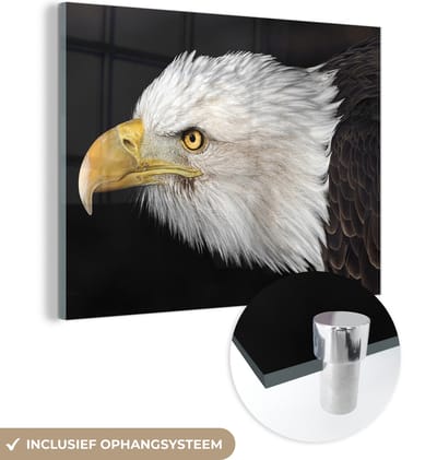 MuchoWow® Glasschilderij 160x120 cm - Schilderij acrylglas - Adelaar - Vogel - Snavel - Ogen - Foto op glas - Schilderijen