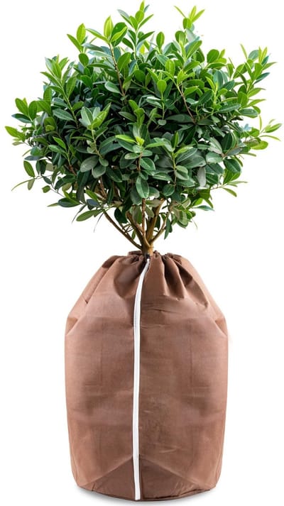 SVGCommerce - Hydrogarden Plant Pot - Winterbescherming - 50 x 80 cm - Pot Isolatie - Bescherming tegen kou - Geschikt voor planten - Kleur: groen