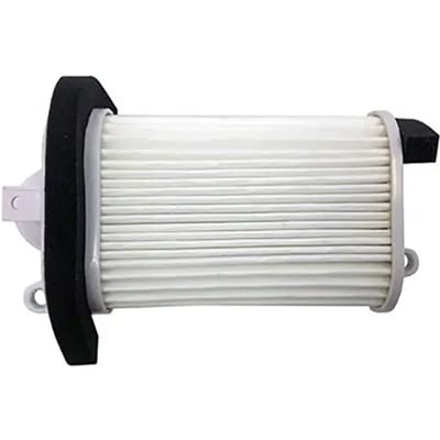 Motorfilter Champion HFA4509