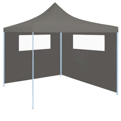 vidaXL - Prieelzijwand - met - ramen - 6x2 - m - antracietkleurig