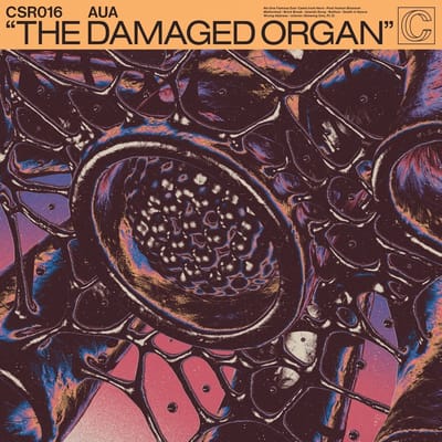 AUA - The Damaged Organ (2 LP)
