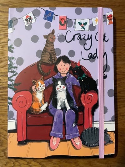 Alex Clark Large Chunky Notebook Crazy Cat Lady at Christmas~ A5 Softcover Notitieboek Katten kerst/winter