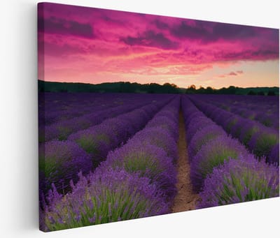 Saammp - Muurcirkel Hout - Vrouw met bladeren als gezicht - Abstract - Ø 80 - Wandcirkel - Wanddecoratie Cirkel - Muurdecoratie Woonkamer - Slaapkamer decoratie - Rond Schilderij