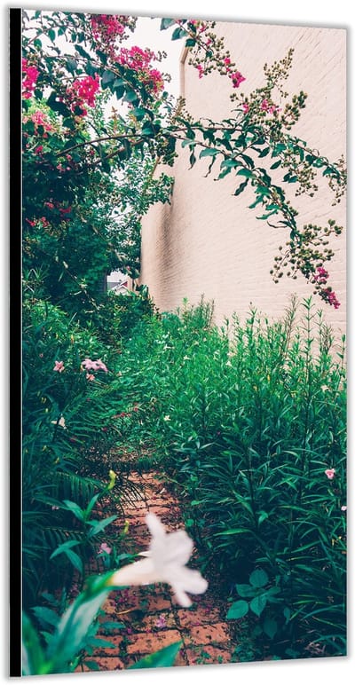 KuijsFotoprint - Schilderij - Bloemen Langs Huis - Groen En Roze - 200 X 100 Cm