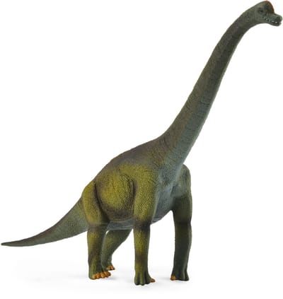 COLLECTA Figurine - Brachiosaurus - (L) - Prehistorie - Handgeschilderd - Dinosaurus - Miniatuur