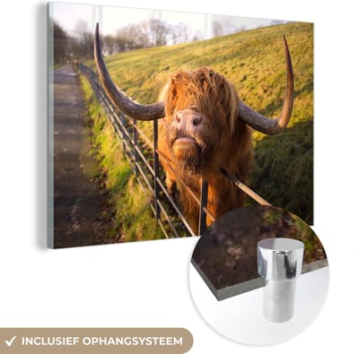 MuchoWow® Glasschilderij 150x100 cm - Schilderij acrylglas - Schotse Hooglander - Hek - Gras - Foto op glas - Schilderijen