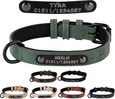 Gepersonaliseerde Hondenhalsband met Naamgravure van Zacht Leer - Ideaal voor Honden en Katten (M)