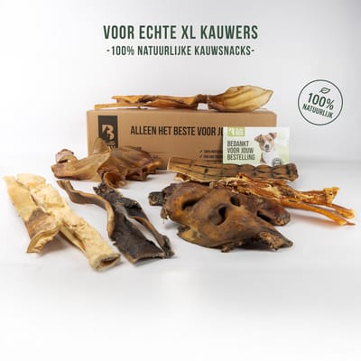Kauwsnacks Box Grote Honden 25 kg+ – Stevige Hondensnacks | Bellobox