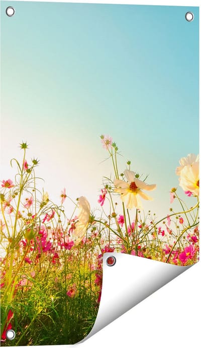 Gards Tuinposter Kosmos Bloemenveld met een Opkomende Zon - 40x60 cm - Tuindoek - Tuindecoratie - Wanddecoratie buiten - Tuinschilderij