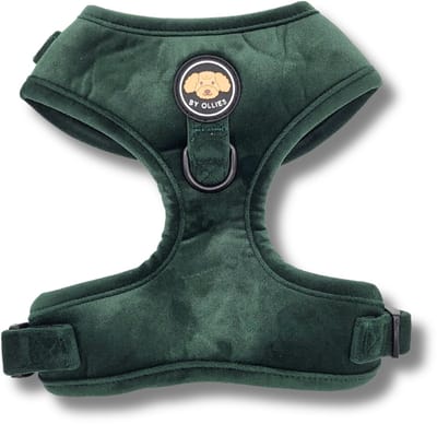 By Ollies Hondentuig velvet – Dark Green - Maat S
