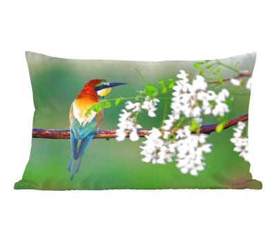 Sierkussens - Kussentjes Woonkamer - 50x30 cm - Vogel - Bijeneter - Bloemen