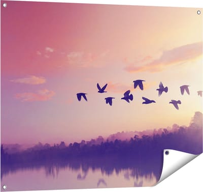 Gards Tuinposter Silhouet Vogels tijdens Zonsondergang - 100x80 cm - Tuindoek - Tuindecoratie - Wanddecoratie buiten - Tuinschilderij