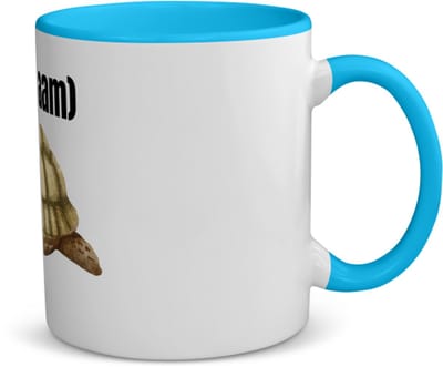 Akyol - schilpad met eigen naam koffiemok - theemok - blauw - Schildpad - schildpad liefhebbers - dierenliefhebbers - cadeau - verjaardag - kado - 350 ML inhoud