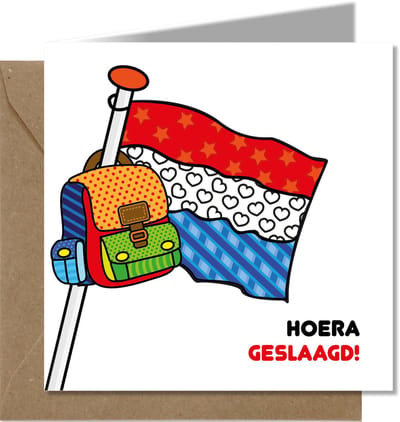 Tallies Cards - greeting - ansichtkaarten - Geslaagd - PopArt  - Set van 4 wenskaarten - Inclusief kraft envelop - geslaagd - diploma - zwemdiploma - rijbewijs - 100% Duurzaam