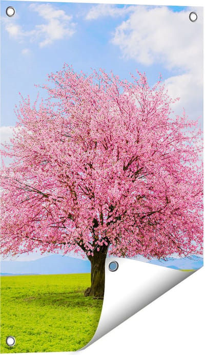 Gards Tuinposter Roze Sakura Bloesem Boom in het Groene Veld - 40x60 cm - Tuindoek - Tuindecoratie - Wanddecoratie buiten - Tuinschilderij
