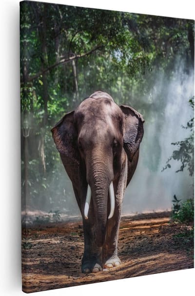 Artaza Canvas Schilderij Olifant Bos - 40x50 cm - Wanddecoratie Jungle - Muurdecoratie Dieren - Kamer Accessoires
