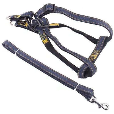 Harnais Gilet pour Chien Laisse Harnais et Laisse Réglables Doux pour la Peau pour Chien Animal de Compagnie Chat Marche et Entraînement en Plein Air S black