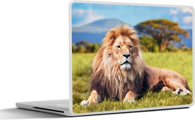 Laptop sticker - 11.6 inch - Leeuw - Savanne - Afrika - 30x21cm - Laptopstickers - Laptop skin - Cover