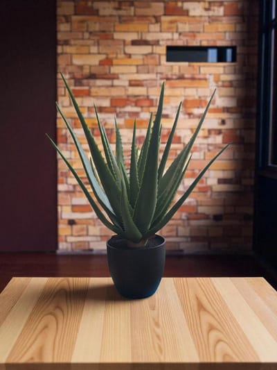 Aloë Vera - kunstplant - zware kwaliteit - 67 cm hoog- plant met pot
