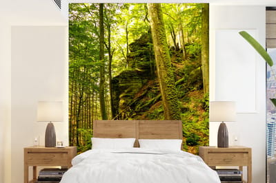 Behang - Fotobehang Bomen - Steen - Bos - Natuur - Planten - Breedte 190 cm x hoogte 260 cm
