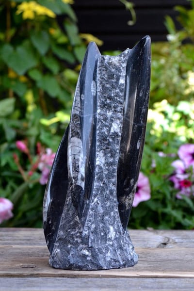Orthoceras fossiel sculptuur - 1620 gram