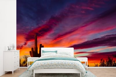 Behang - Fotobehang Cactus - Lucht - Zonsondergang - Paars - Roze - Breedte 420 cm x hoogte 280 cm