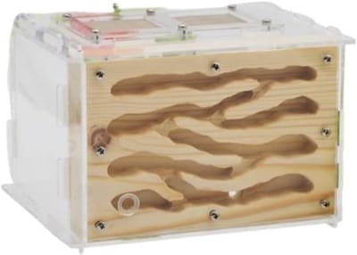 Mierenboerderij Habitat - Mieren Nest Boerderij - Educatief Verzamelen - Inclusief Voederruimte - 17x15x11.5 cm