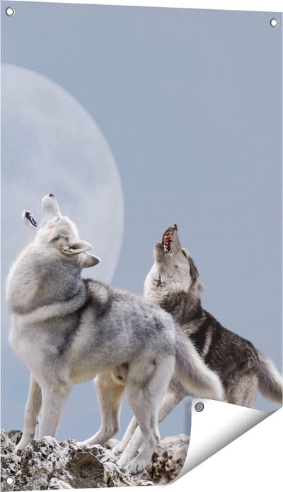 Gards Tuinposter Twee Wolven Die Huilen tijdens Volle Maan - 60x90 cm - Tuindoek - Tuindecoratie - Wanddecoratie buiten - Tuinschilderij