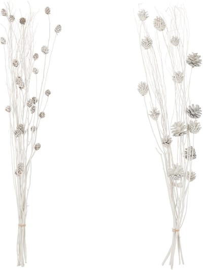 J-Line decoratie tak Denappel - riet - wit - 2 stuks