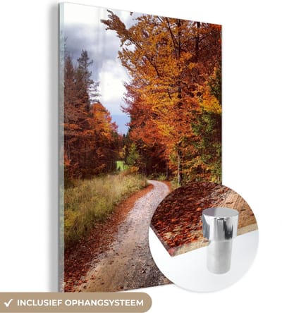 MuchoWow® Glasschilderij 30x40 cm - Schilderij acrylglas - Herfst - Herfstbladeren - Pad - Bos - Foto op glas - Schilderijen