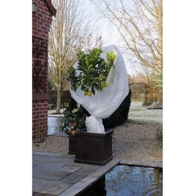 Nature Couverture en polaire d'hiver 30 g/m² Blanc 2x10 m