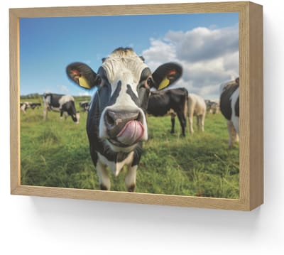 Wandlamp 40x30 cm - Oplaadbaar - Koe - Tong - Weide - Wandlampen binnen woonkamer - Slaapkamer lamp - Decoratieve nachtlamp - Vloerlamp draadloos