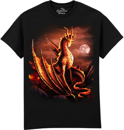 Draak Alessa Dragon The Coloured House T-shirt S