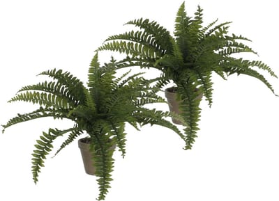 Mica Decoration Varen kunstplant - 2x - groen - 45 x 70 cm - Kamer/kantoor planten