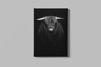 Canvas Schilderij - Schotse - Hooglander - 90x60x2 cm