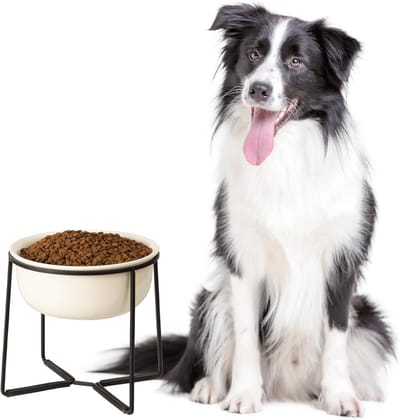 Verhoogde Keramische Voerbak met Antislip Houder voor Grote Honden - Eetbak voor Water en Voer