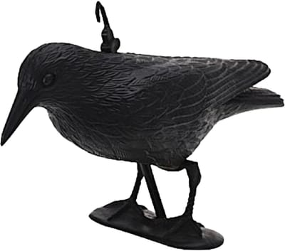 Bellatio design Raaf/kraai Horror decoratie - zwart - 35 cm - Halloween versiering dieren