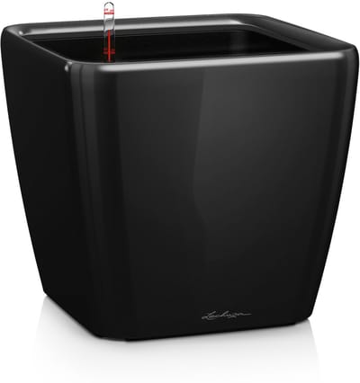 LECHUZA QUADRO Premium LS 43 - Plantenbak - met uitneembare binnenbak - met bewateringssysteem - ALL-IN-ONE set met LECHUZA-PON - zwart hoogglans