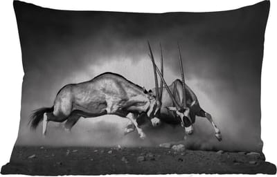 Buitenkussens - Tuin - Antilope - Zwart wit - Portret - Wilde dieren - Dieren - 50x30 cm