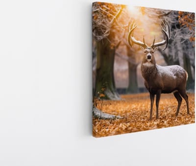 Saammp Canvas Schilderij - hert in zonsopgang met sneeuw op zich - Natuur - Dieren - 20x20 - Foto op canvas - Wanddecoratie - Muurdecoratie Woonkamer - Slaapkamer decoratie - Canvas Print