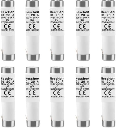 Dailygoods - Keramische neozed-zekeringinzetstukken - 20 A 500 - Geschikt voor kabelbescherming - 10 stuks - gG-type - Duurzaam en betrouwbaar
