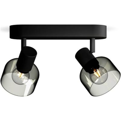 Philips Sleet Spot - Plafondspot met twee lichtpunten - Met gerookt glas - Kleine fitting E14