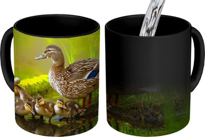 Magische Mok - Foto op Warmte Mokken - Koffiemok - Eend - Vogels - Water - Tak - Mos - Magic Mok - Beker - 350 ML - Theemok