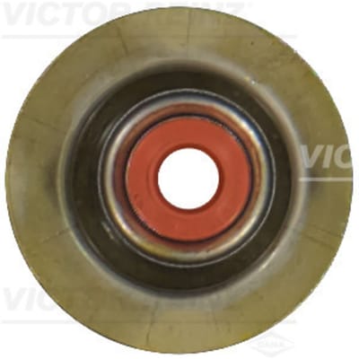 Victor Reinz Klepsteelpakking REINZ 70-13384-00