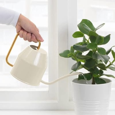 Gieter met tuit - Planten watergever - Planten water geven - Duurzaam metaal - 18 Liter - Gebroken wit