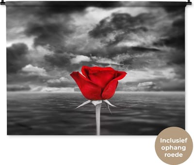 Wandkleed Rood zwart wit - Zwart-wit foto van een rode roos tegen een zee en een bewolkte lucht Wandkleed katoen 120x90 cm - Wandtapijt met foto