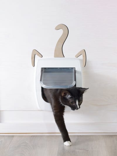 Deur decoratie - Door decoration | Kattenluik 15 x 20cm Cat door | Licht hout - Natural wood | Kattenaccessoires - Cat accessories - Kitty Pass - Interior - Fancy Cats - Echt Hout - Real Wood